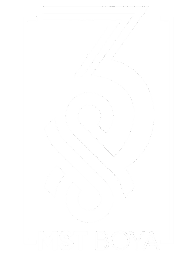 MST Boya Logo
